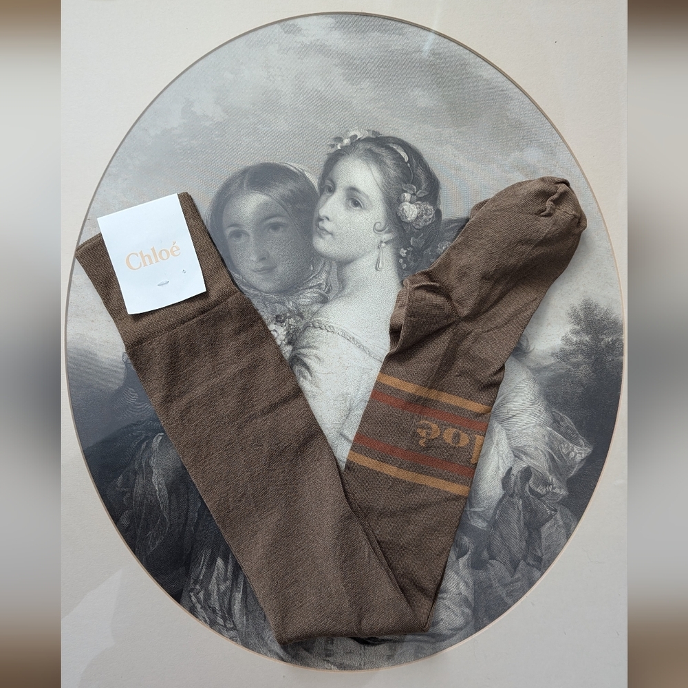 NWT Chloé Brown Thigh-high Logo Sock Tights - Made In Italy CAD $300